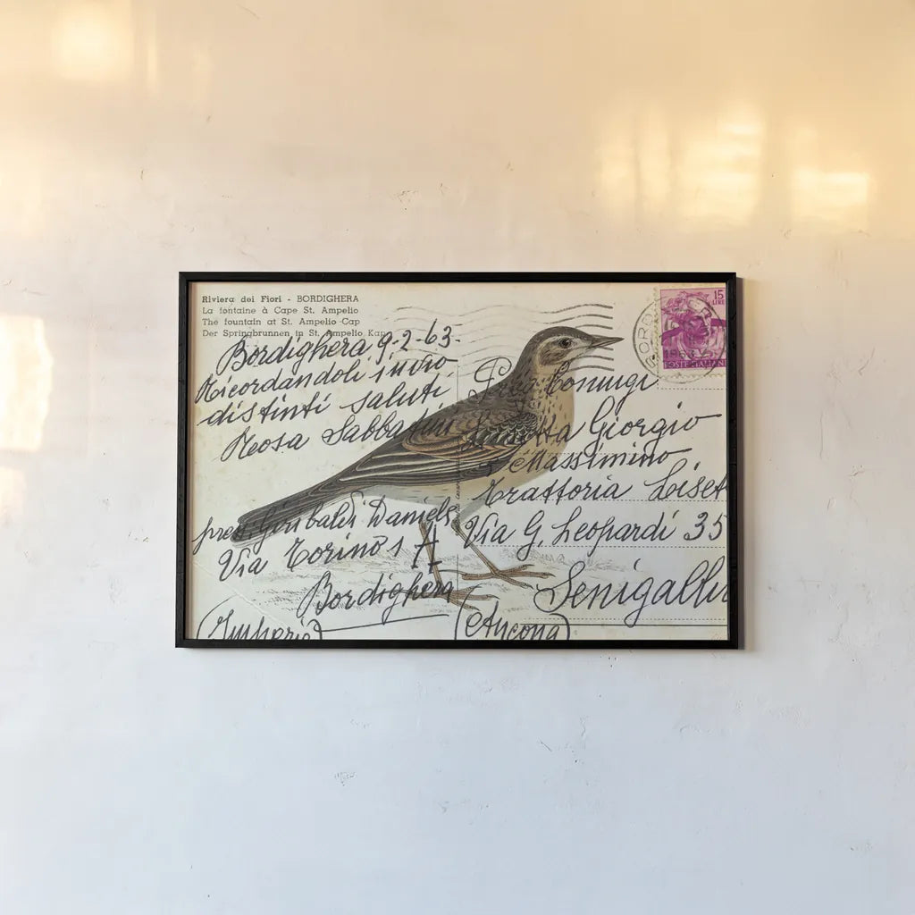 Richards Pipit by Deborah Revell. shown as a paper print in a black flame. Available as a archival giclee rolled canvas, fine art paper, or poster print. SKU 101621i.
