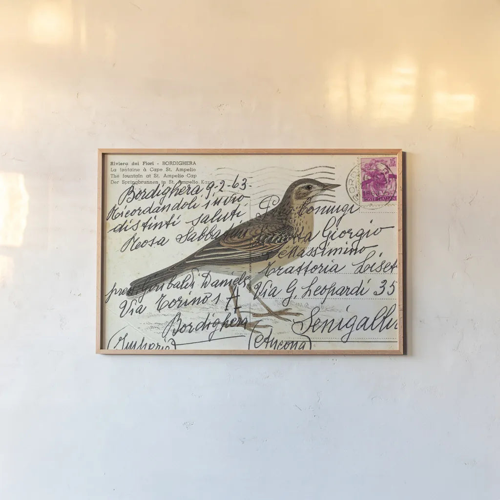 Richards Pipit by Deborah Revell. shown as a paper print in a natural frame. Available as a archival giclee rolled canvas, fine art paper, or poster print. SKU 101621i.