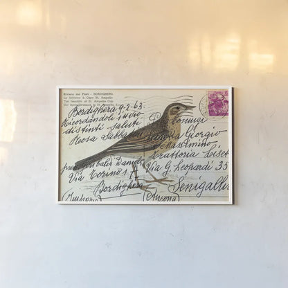 Richards Pipit by Deborah Revell. shown as a paper print in a white frame. Available as a archival giclee rolled canvas, fine art paper, or poster print. SKU 101621i.