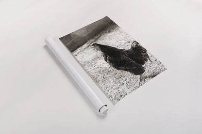 Rise and Shine by Deborah Revell. shown as a rolled paper print. Available as archival giclee rolled canvas, fine art paper, or poster print. SKU 96306h.