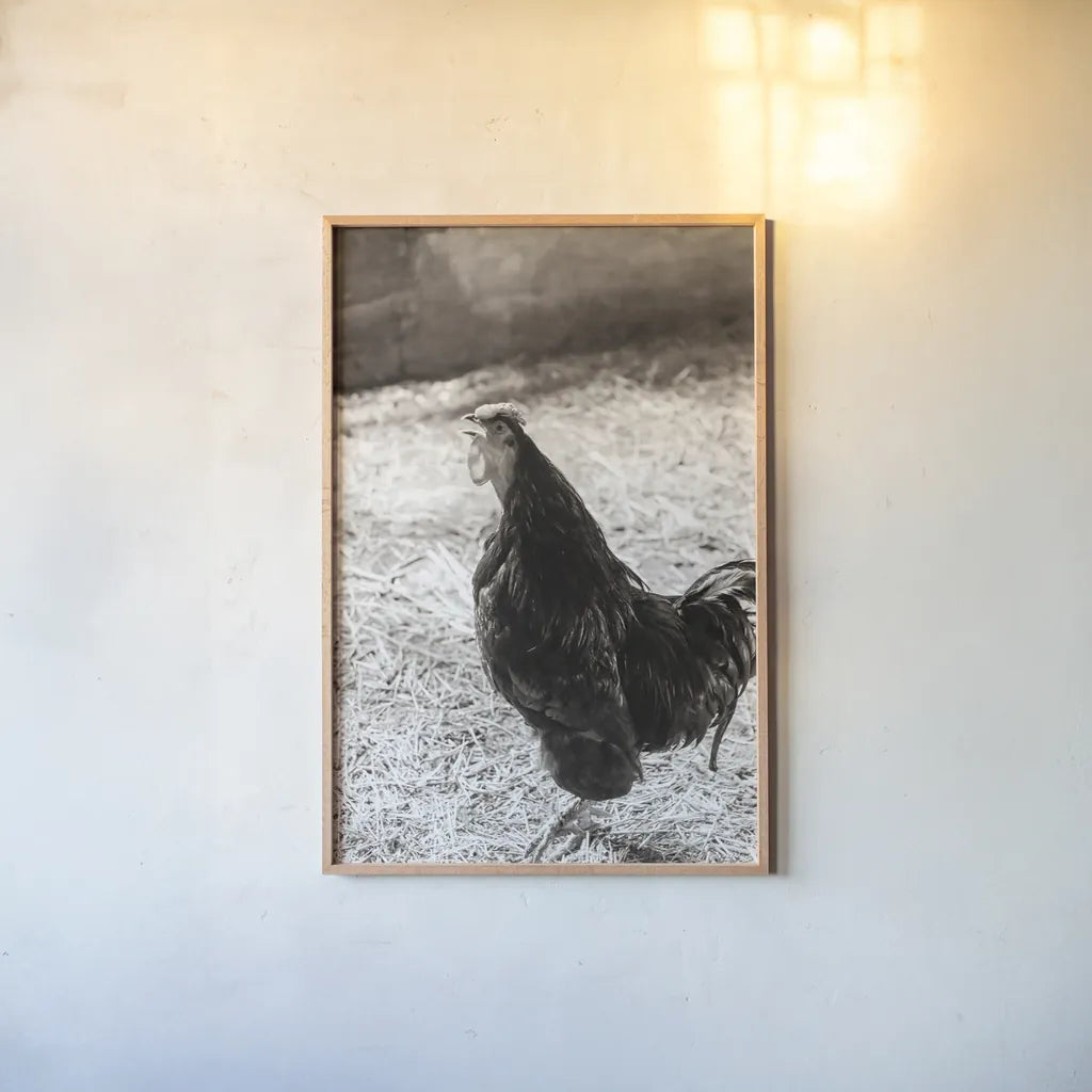 Rise and Shine by Deborah Revell. shown as a paper print in a natural frame. Available as a archival giclee rolled canvas, fine art paper, or poster print. SKU 96306h.