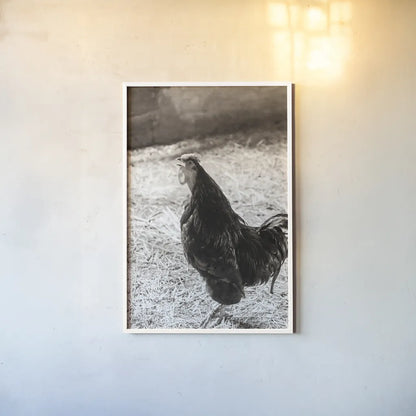 Rise and Shine by Deborah Revell. shown as a paper print in a white frame. Available as a archival giclee rolled canvas, fine art paper, or poster print. SKU 96306h.
