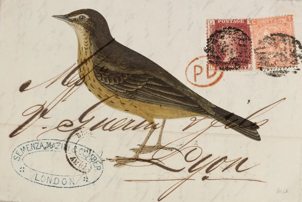 Rock Pipit by Deborah Revell. SKU 101622i. Archival Giclee Fine art print for wall decor.