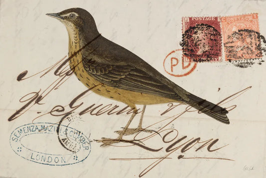 Rock Pipit by Deborah Revell. SKU 101622i. Archival Giclee Fine art print for wall decor.