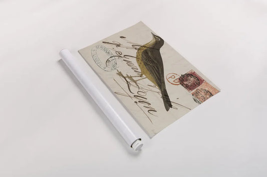 Rock Pipit by Deborah Revell. shown as a rolled paper print. Available as archival giclee rolled canvas, fine art paper, or poster print. SKU 101622i.