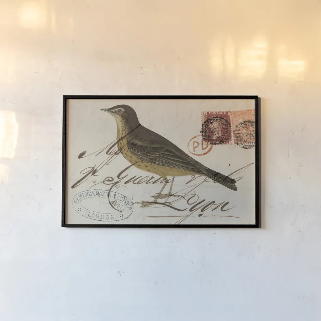 Rock Pipit by Deborah Revell. shown as a paper print in a black flame. Available as a archival giclee rolled canvas, fine art paper, or poster print. SKU 101622i.
