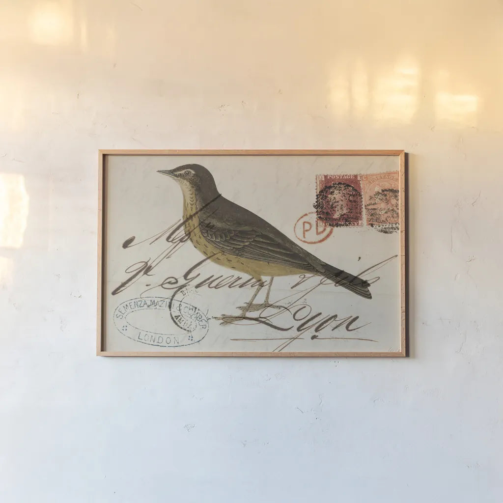 Rock Pipit by Deborah Revell. shown as a paper print in a natural frame. Available as a archival giclee rolled canvas, fine art paper, or poster print. SKU 101622i.