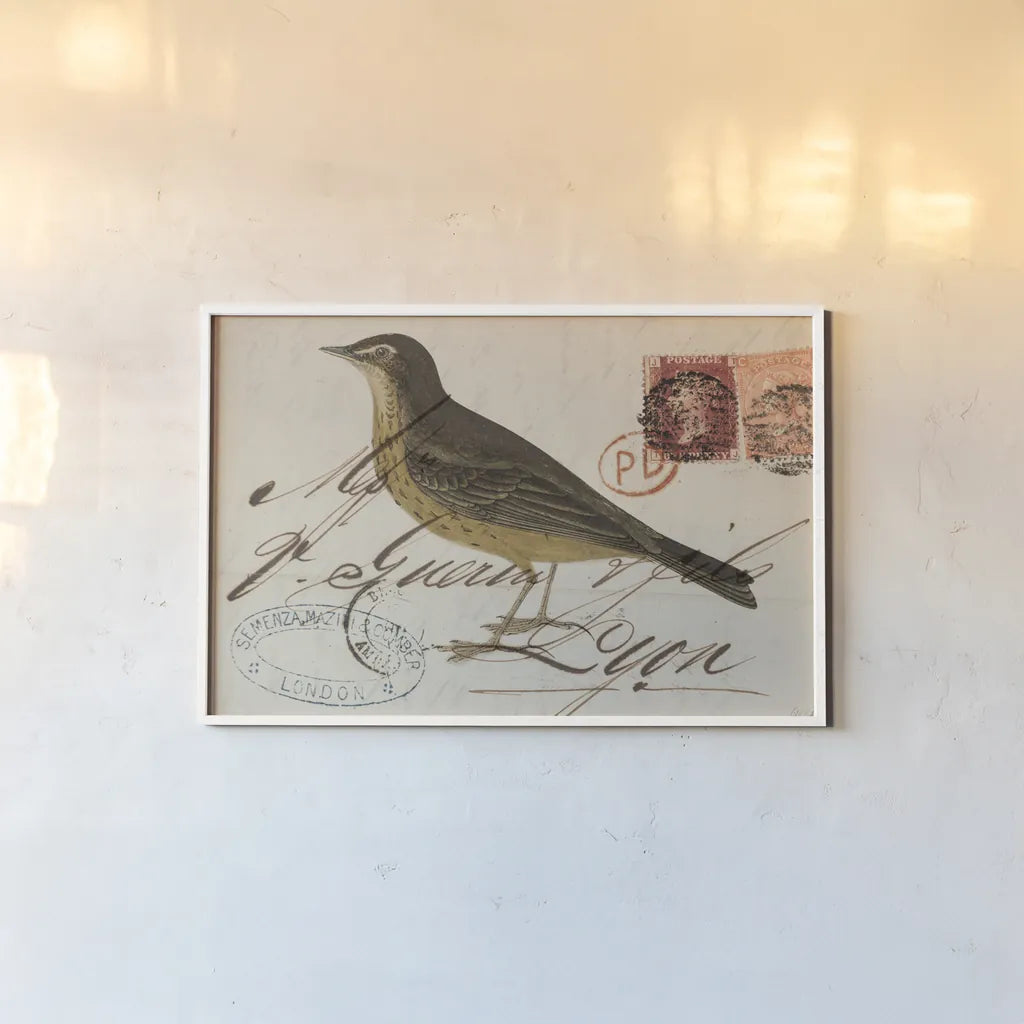 Rock Pipit by Deborah Revell. shown as a paper print in a white frame. Available as a archival giclee rolled canvas, fine art paper, or poster print. SKU 101622i.