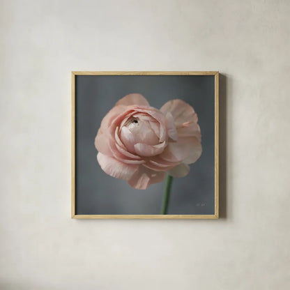 Romantic Ranunculus by Deborah Revell. Shown in a natural wood glass frame for a timeless modern aesthetic. Available as an archival giclee rolled canvas, fine art paper, or poster print. SKU 93977a.