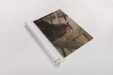 Roost by Deborah Revell. shown as a rolled paper print. Available as archival giclee rolled canvas, fine art paper, or poster print. SKU 96307i.