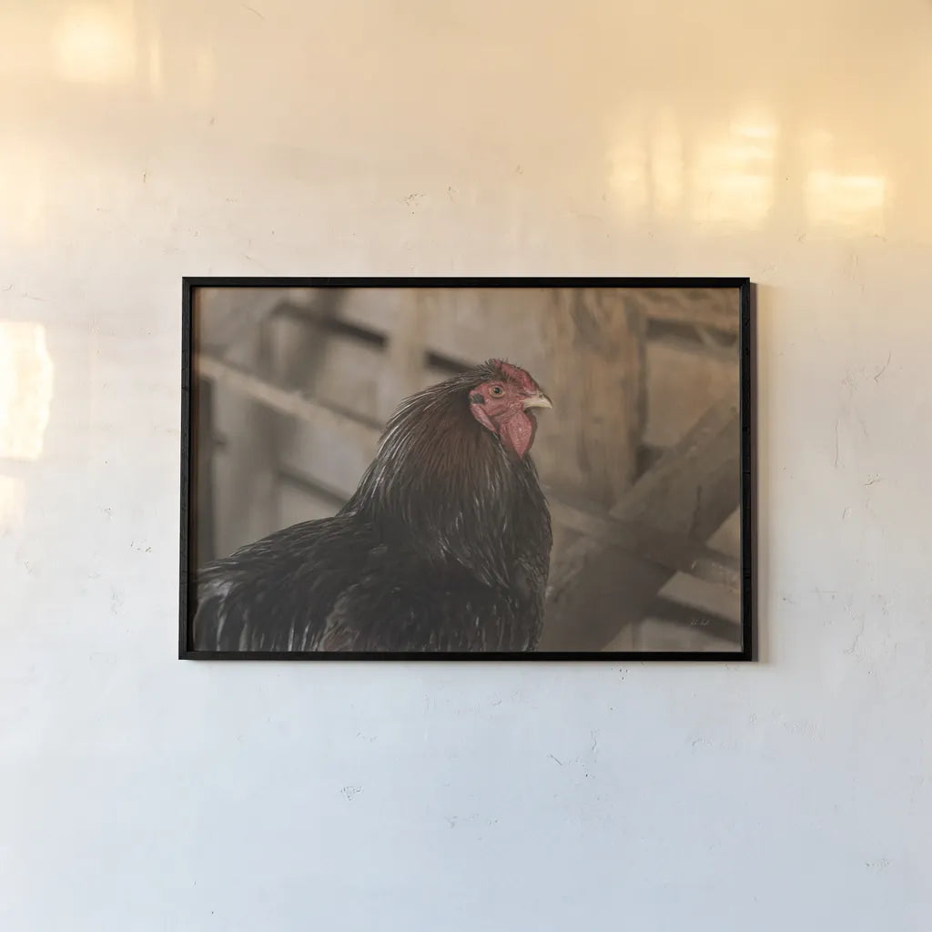 Roost by Deborah Revell. shown as a paper print in a black flame. Available as a archival giclee rolled canvas, fine art paper, or poster print. SKU 96307i.