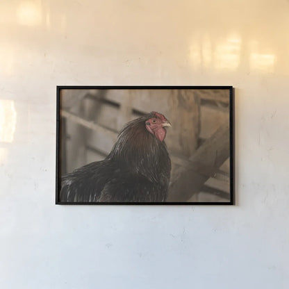 Roost by Deborah Revell. shown as a paper print in a black flame. Available as a archival giclee rolled canvas, fine art paper, or poster print. SKU 96307i.