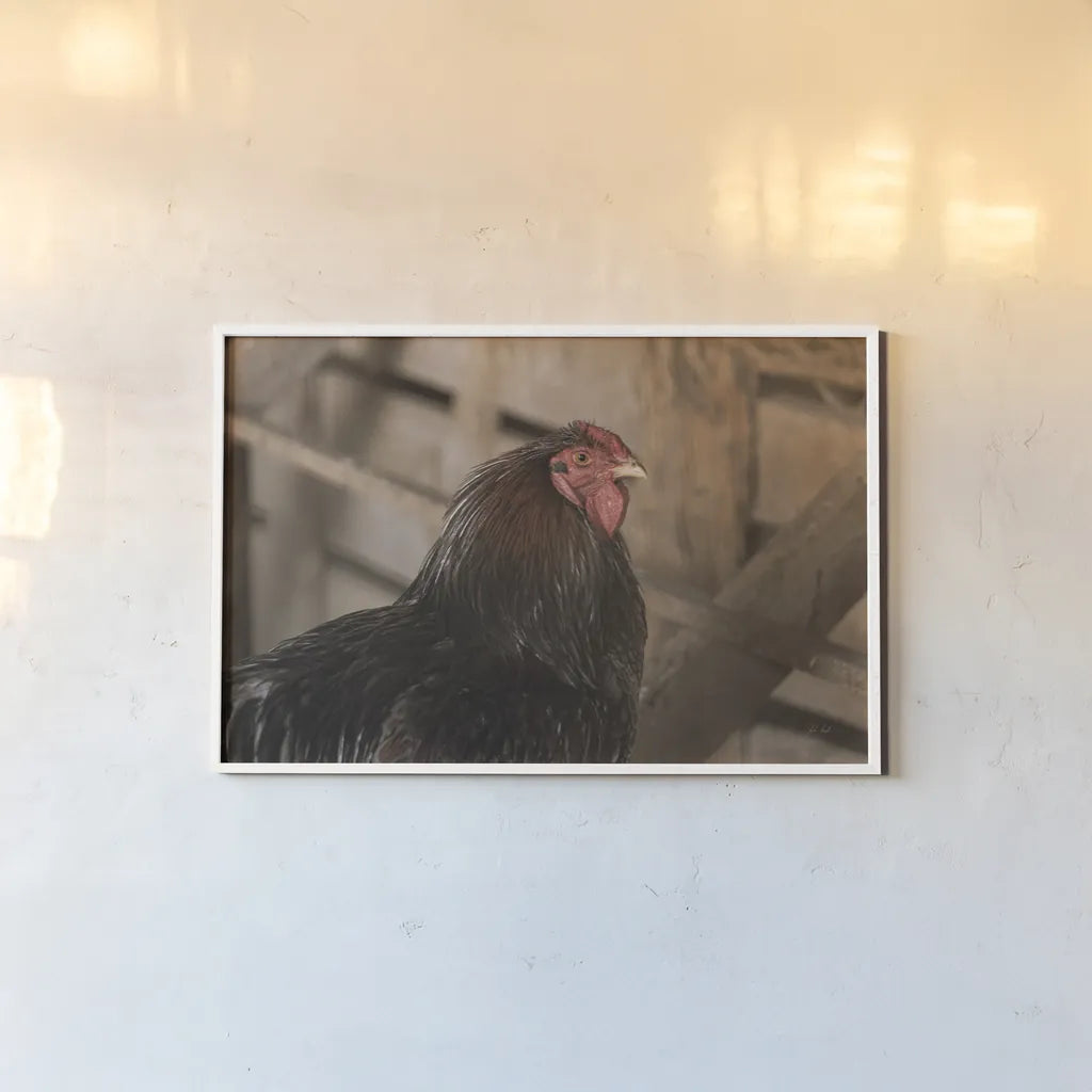 Roost by Deborah Revell. shown as a paper print in a white frame. Available as a archival giclee rolled canvas, fine art paper, or poster print. SKU 96307i.