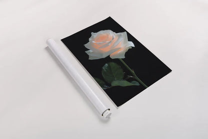 Rose Light by Deborah Revell. shown as a rolled paper print. Available as archival giclee rolled canvas, fine art paper, or poster print. SKU 95331h.