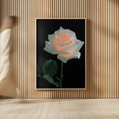 Rose Light by Deborah Revell. shown as over sized large wall art. Available as an archival giclee rolled canvas, fine art paper, or poster print. SKU 95331h.