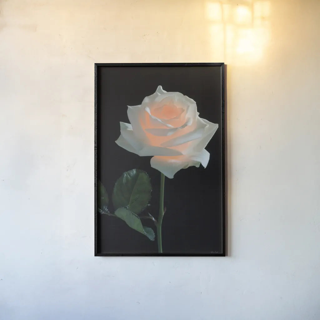 Rose Light by Deborah Revell. shown as a paper print in a black flame. Available as a archival giclee rolled canvas, fine art paper, or poster print. SKU 95331h.