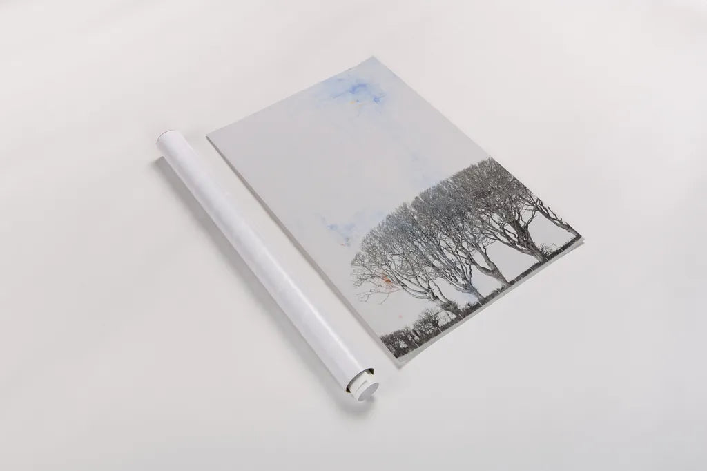 Row of Trees by Deborah Revell. shown as a rolled paper print. Available as archival giclee rolled canvas, fine art paper, or poster print. SKU 90977h.