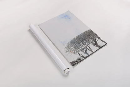 Row of Trees by Deborah Revell. shown as a rolled paper print. Available as archival giclee rolled canvas, fine art paper, or poster print. SKU 90977h.