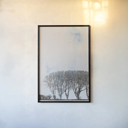 Row of Trees by Deborah Revell. shown as a paper print in a black flame. Available as a archival giclee rolled canvas, fine art paper, or poster print. SKU 90977h.