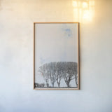 Row of Trees by Deborah Revell. shown as a paper print in a natural frame. Available as a archival giclee rolled canvas, fine art paper, or poster print. SKU 90977h.