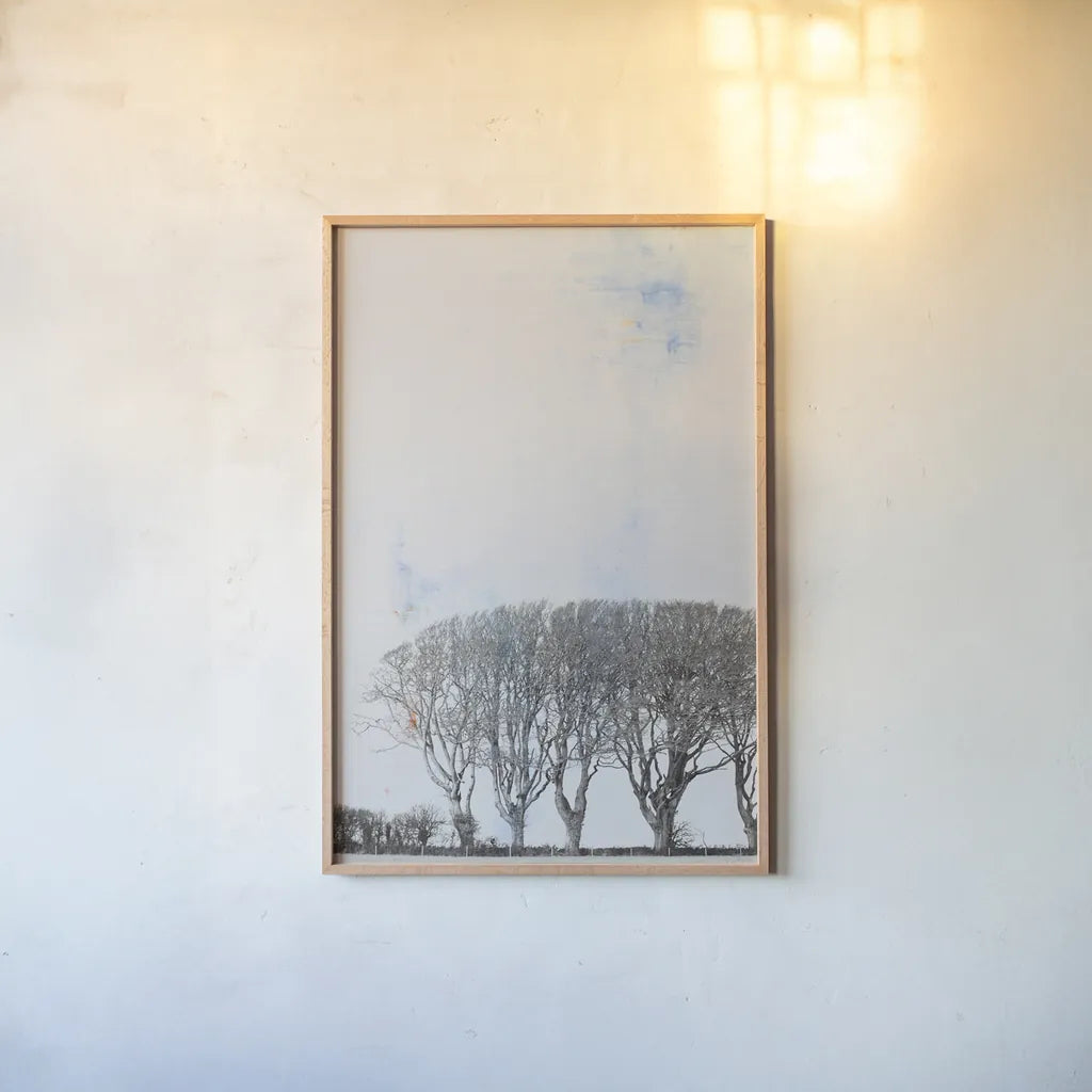 Row of Trees by Deborah Revell. shown as a paper print in a natural frame. Available as a archival giclee rolled canvas, fine art paper, or poster print. SKU 90977h.