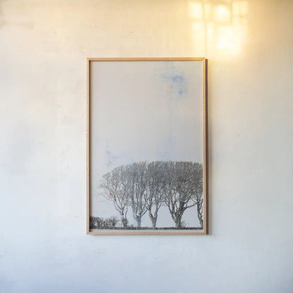 Row of Trees by Deborah Revell. shown as a paper print in a natural frame. Available as a archival giclee rolled canvas, fine art paper, or poster print. SKU 90977h.