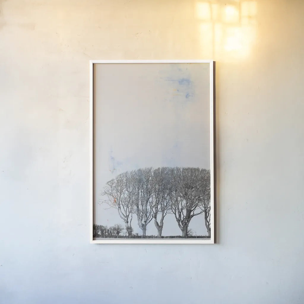 Row of Trees by Deborah Revell. shown as a paper print in a white frame. Available as a archival giclee rolled canvas, fine art paper, or poster print. SKU 90977h.