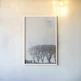 Row of Trees by Deborah Revell. shown as a paper print in a white frame. Available as a archival giclee rolled canvas, fine art paper, or poster print. SKU 90977h.
