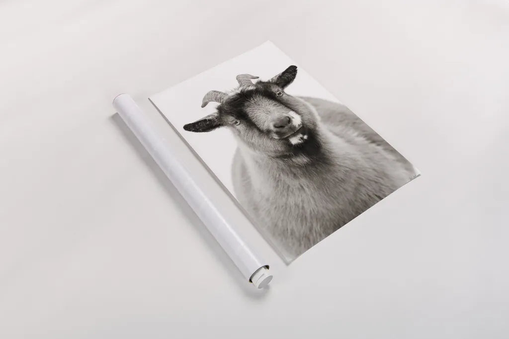 Sally the Goat by Deborah Revell. shown as a rolled paper print. Available as archival giclee rolled canvas, fine art paper, or poster print. SKU 96326h.