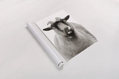 Sally the Goat by Deborah Revell. shown as a rolled paper print. Available as archival giclee rolled canvas, fine art paper, or poster print. SKU 96326h.