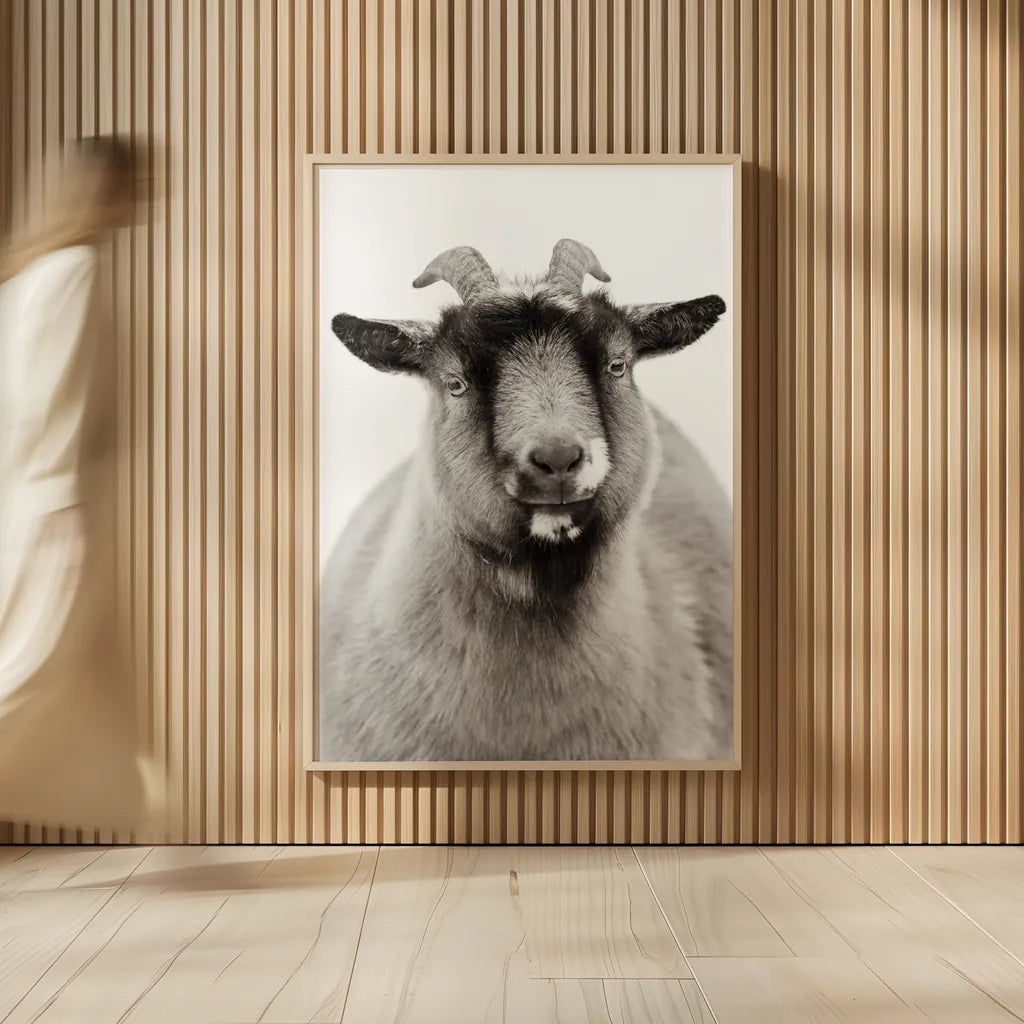 Sally the Goat by Deborah Revell. shown as over sized large wall art. Available as an archival giclee rolled canvas, fine art paper, or poster print. SKU 96326h.