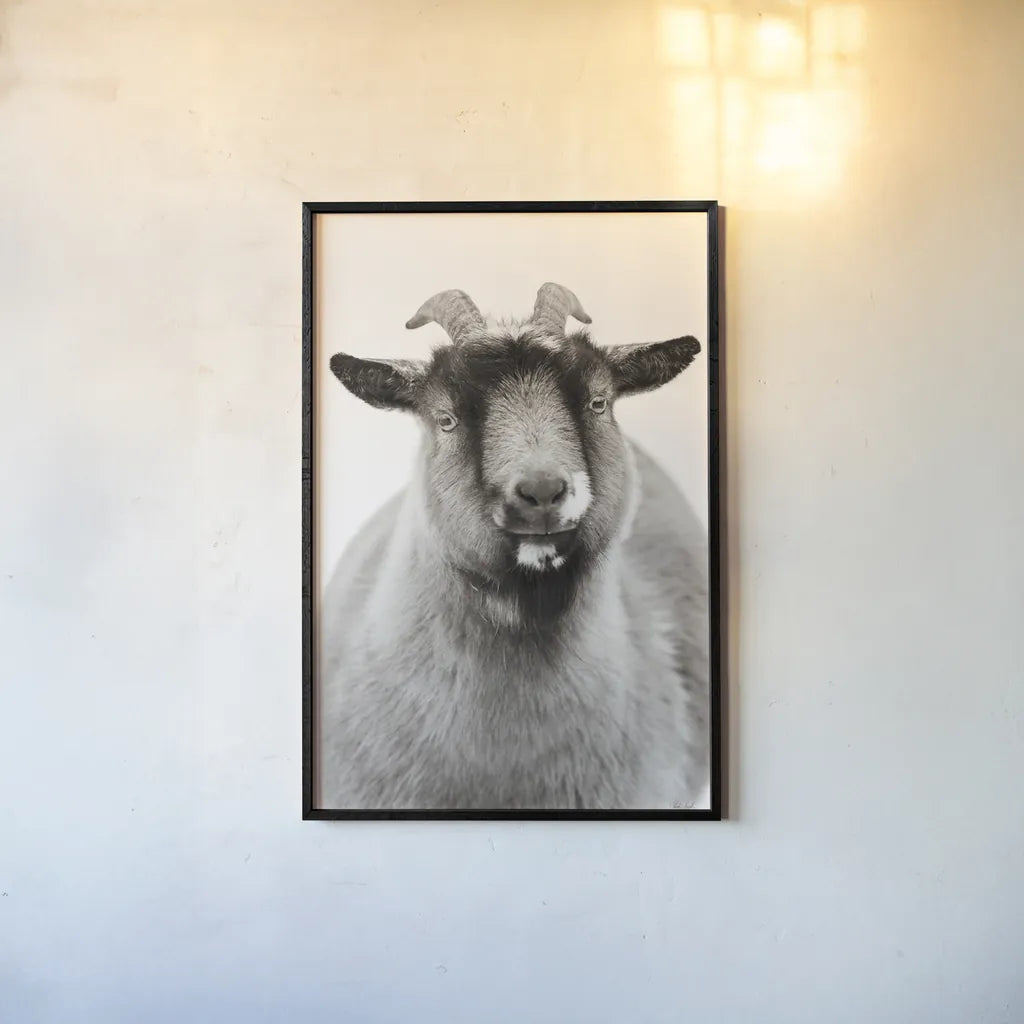 Sally the Goat by Deborah Revell. shown as a paper print in a black flame. Available as a archival giclee rolled canvas, fine art paper, or poster print. SKU 96326h.