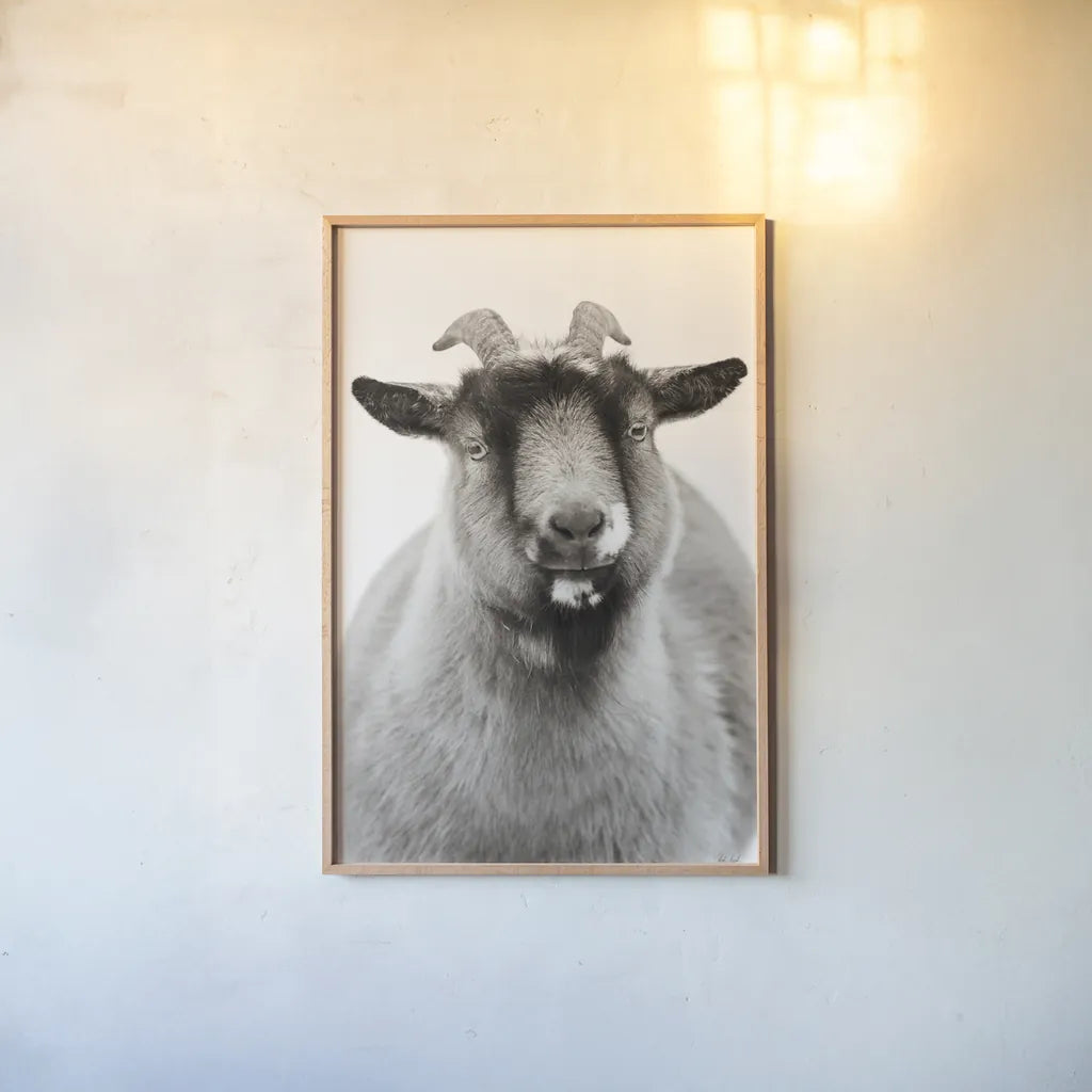 Sally the Goat by Deborah Revell. shown as a paper print in a natural frame. Available as a archival giclee rolled canvas, fine art paper, or poster print. SKU 96326h.