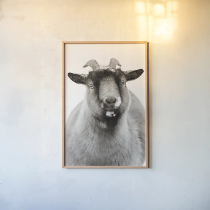 Sally the Goat by Deborah Revell. shown as a paper print in a natural frame. Available as a archival giclee rolled canvas, fine art paper, or poster print. SKU 96326h.
