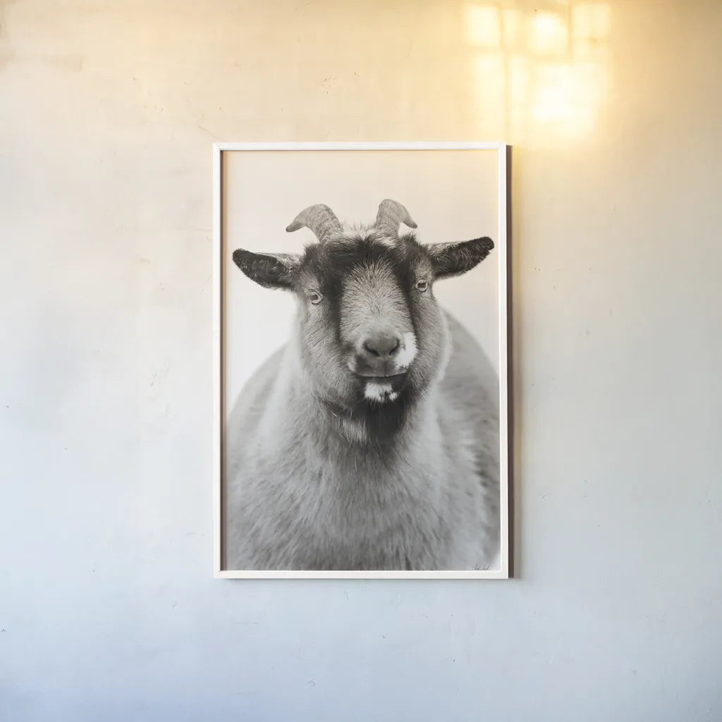 Sally the Goat by Deborah Revell. shown as a paper print in a white frame. Available as a archival giclee rolled canvas, fine art paper, or poster print. SKU 96326h.