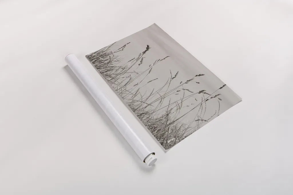 Saltgrass I by Deborah Revell. shown as a rolled paper print. Available as archival giclee rolled canvas, fine art paper, or poster print. SKU 100997i.