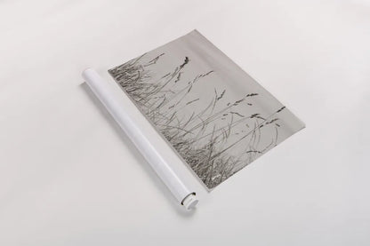 Saltgrass I by Deborah Revell. shown as a rolled paper print. Available as archival giclee rolled canvas, fine art paper, or poster print. SKU 100997i.