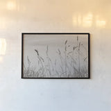 Saltgrass I by Deborah Revell. shown as a paper print in a black flame. Available as a archival giclee rolled canvas, fine art paper, or poster print. SKU 100997i.