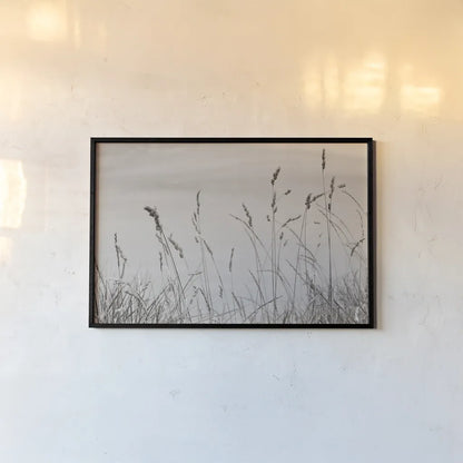 Saltgrass I by Deborah Revell. shown as a paper print in a black flame. Available as a archival giclee rolled canvas, fine art paper, or poster print. SKU 100997i.
