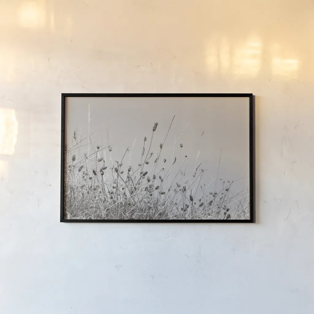 Saltgrass II by Deborah Revell. shown as a paper print in a black flame. Available as a archival giclee rolled canvas, fine art paper, or poster print. SKU 100998i.