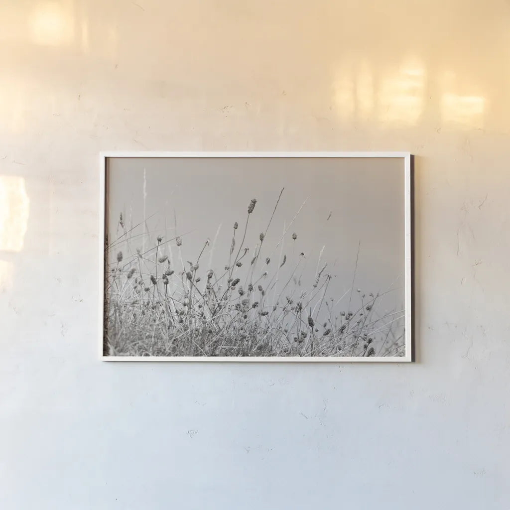 Saltgrass II by Deborah Revell. shown as a paper print in a white frame. Available as a archival giclee rolled canvas, fine art paper, or poster print. SKU 100998i.