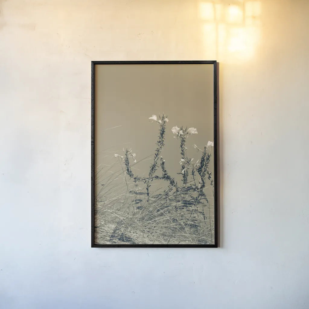 Saltwind Meadow II by Deborah Revell. shown as a paper print in a black flame. Available as a archival giclee rolled canvas, fine art paper, or poster print. SKU 100996h.