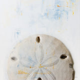 Sand Dollar by Deborah Revell. SKU 91178a. Archival Giclee Fine art print for wall decor.