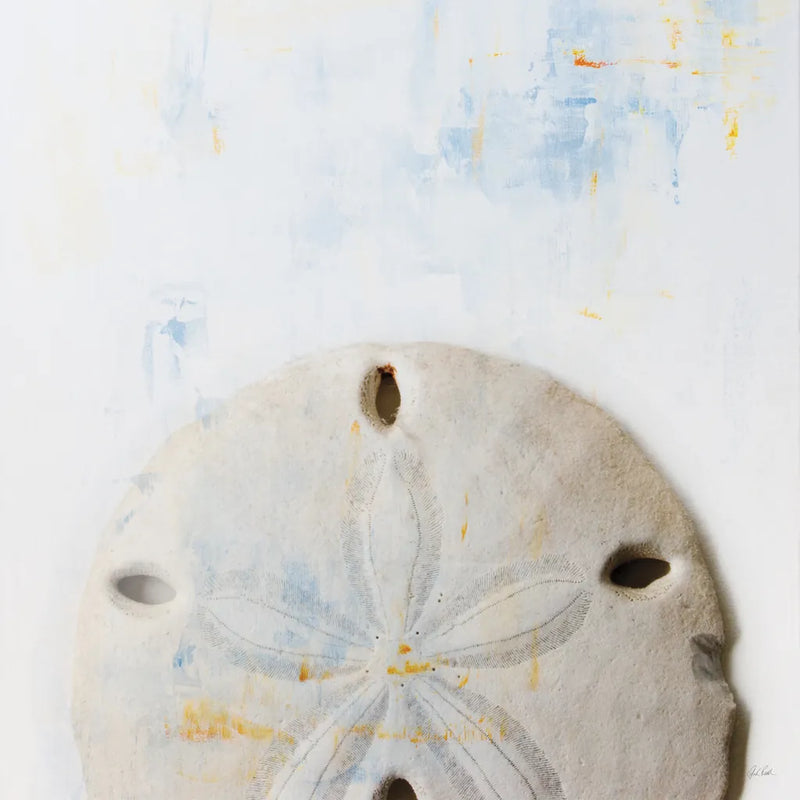 Sand Dollar by Deborah Revell. SKU 91178a. Archival Giclee Fine art print for wall decor.