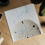 Sand Dollar by Deborah Revell. Shown as a detailed flat fine art print, highlighting archival giclee quality. Available as an archival giclee rolled canvas, fine art paper, or poster print. SKU 91178a.