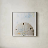 Sand Dollar by Deborah Revell. Shown in a crisp white glass frame for a clean and minimalist style. Available as an archival giclee rolled canvas, fine art paper, or poster print. SKU 91178a.
