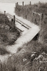 Sandwalk by Deborah Revell. SKU 100999h. Archival Giclee Fine art print for wall decor.