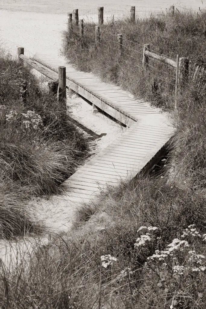 Sandwalk by Deborah Revell. SKU 100999h. Archival Giclee Fine art print for wall decor.