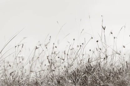 Sea Breeze I by Deborah Revell. SKU 102084i. Archival Giclee Fine art print for wall decor.