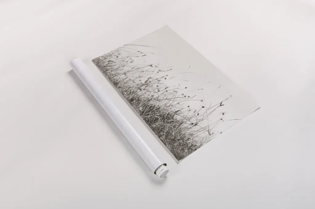 Sea Breeze I by Deborah Revell. shown as a rolled paper print. Available as archival giclee rolled canvas, fine art paper, or poster print. SKU 102084i.